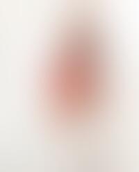 Image avec blurred